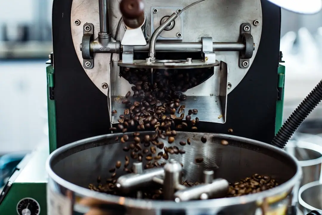 Kaffeväxt som odlas inomhus